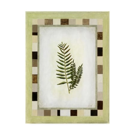 Pablo Esteban 'Fern Leaf Framed 1' Canvas Art,14x19